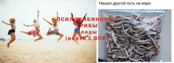 каннабис Бородино