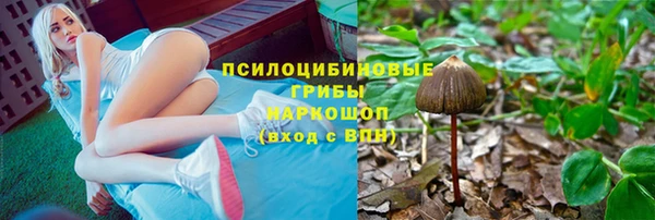 каннабис Бородино