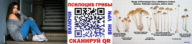 Галлюциногенные грибы мухоморы  Городец 
